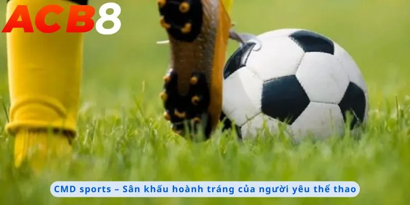 Sân khấu hoành tráng của người yêu thể thao